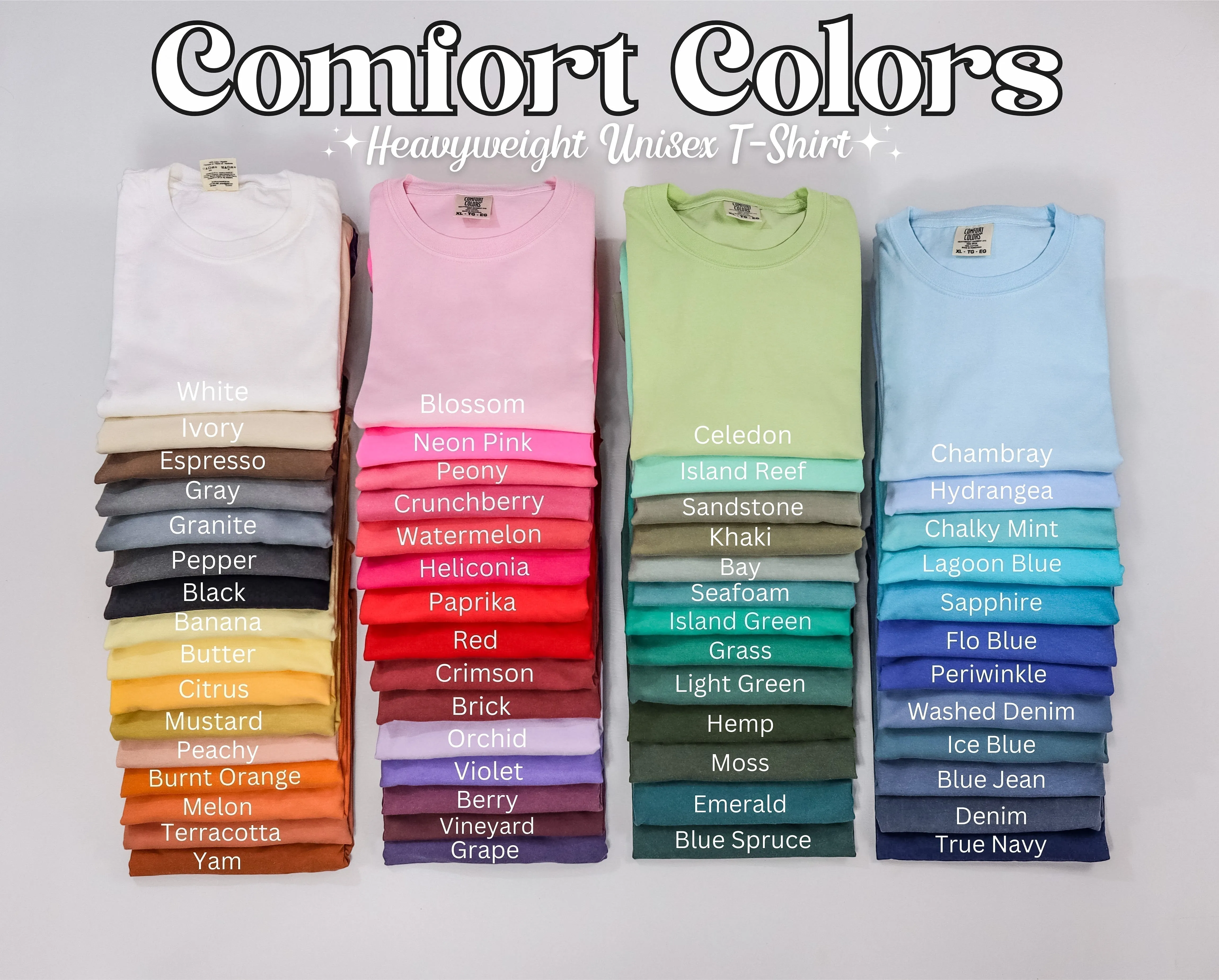 Don't Fly, Soar Comfort Colors Shirt