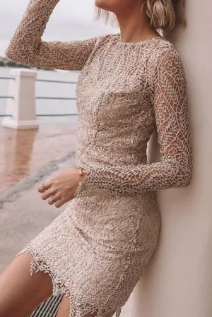 Sequin Long Sleeve Lace Mini Bodycon Dress