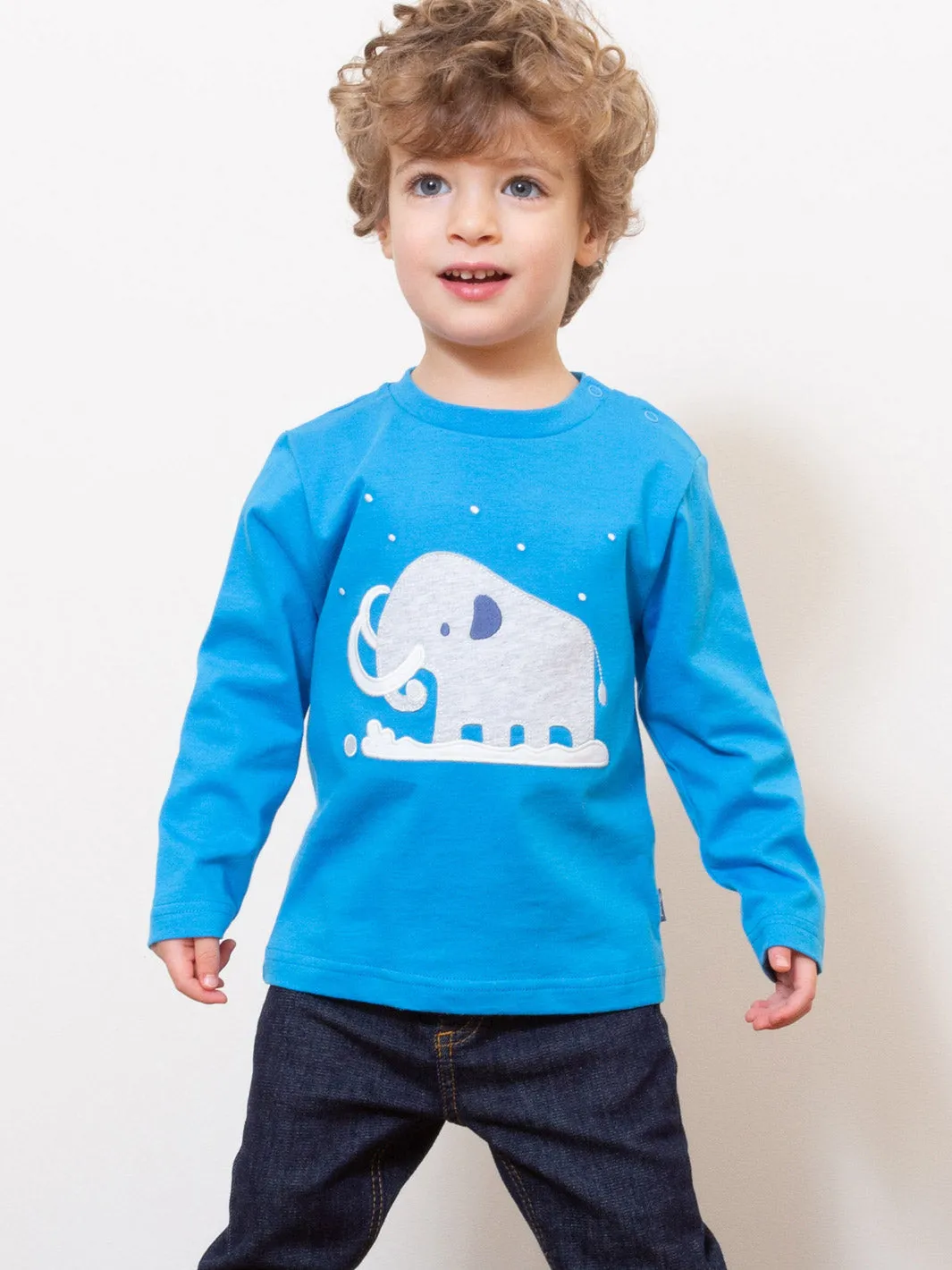 Snowy mammoth t-shirt